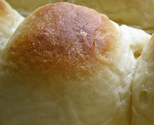 Fluffy Potato Rolls